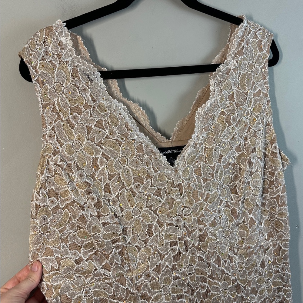 NWT Candalite Lace Dress Size 1X Sparkle Sequin - Picture 10 of 14